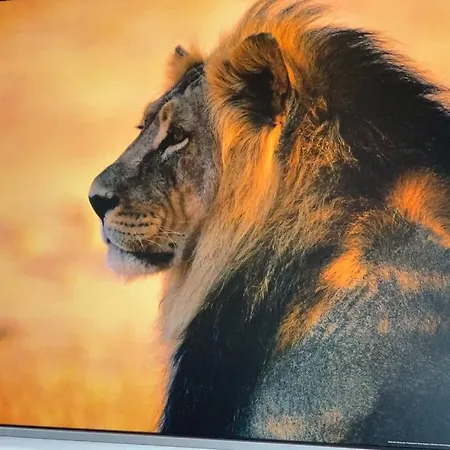 Lowenstarker Aufenthalt Im Leipziger Zentrum - Zoo Apartment Leipzig